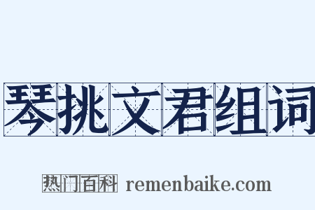 琴挑文君组词是什么意思的图片